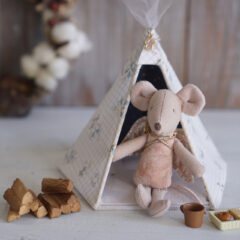 lesson schedule【November】