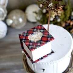 lesson schedule【2025 December】